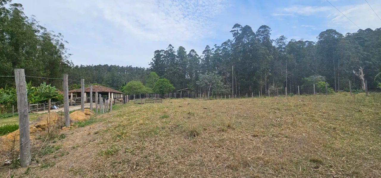 Fazenda à venda de 523 ha em Lavrinhas, SP, Brasil