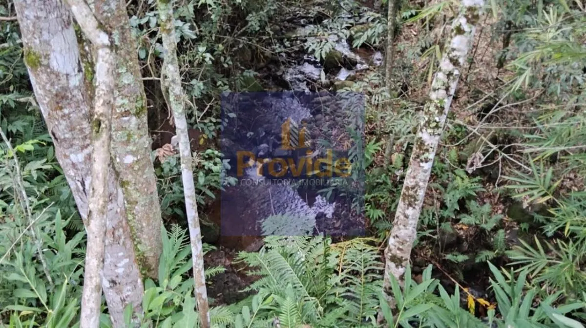 Sítio à venda de 13 ha em Bofete, SP, Brasil