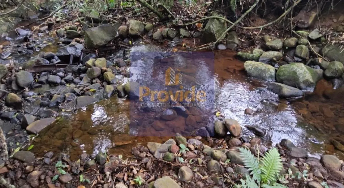 Sítio à venda de 13 ha em Bofete, SP, Brasil