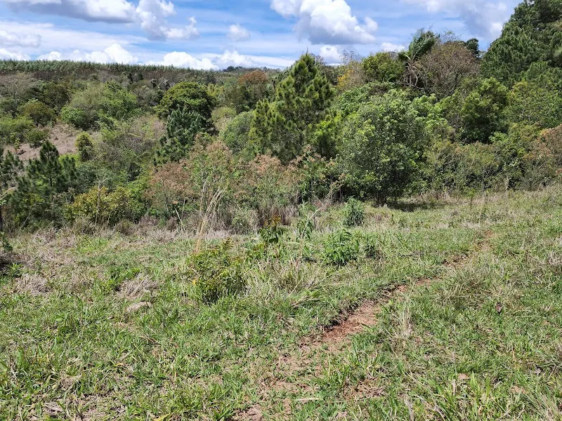Small farm for sale of 25 acres in Tatuí, SP, Brazil