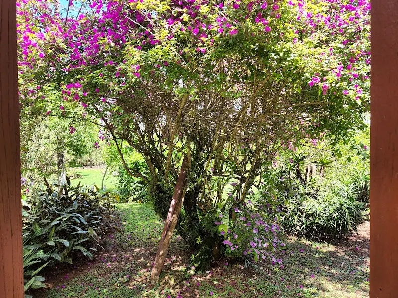 Small farm for sale of 25 acres in Tatuí, SP, Brazil