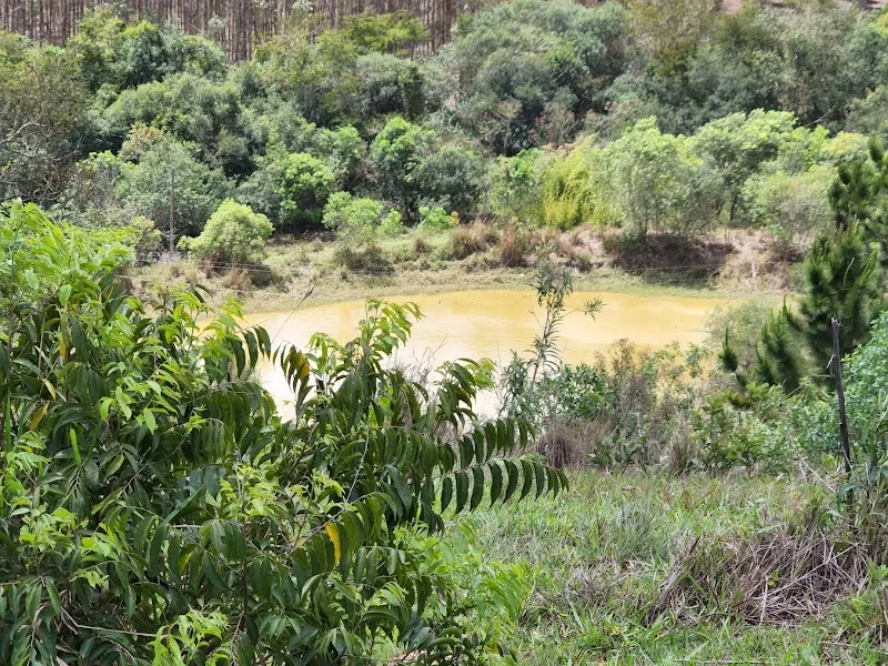 Small farm for sale of 25 acres in Tatuí, SP, Brazil