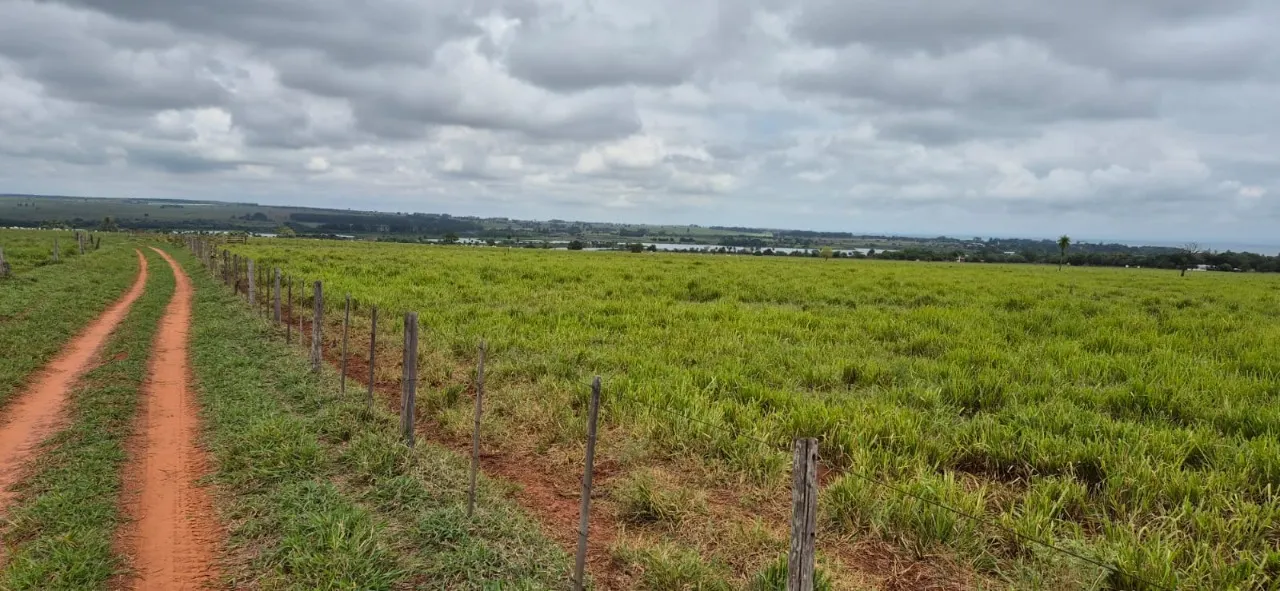 Fazenda à venda de 944 ha em Presidente Prudente, SP, Brasil