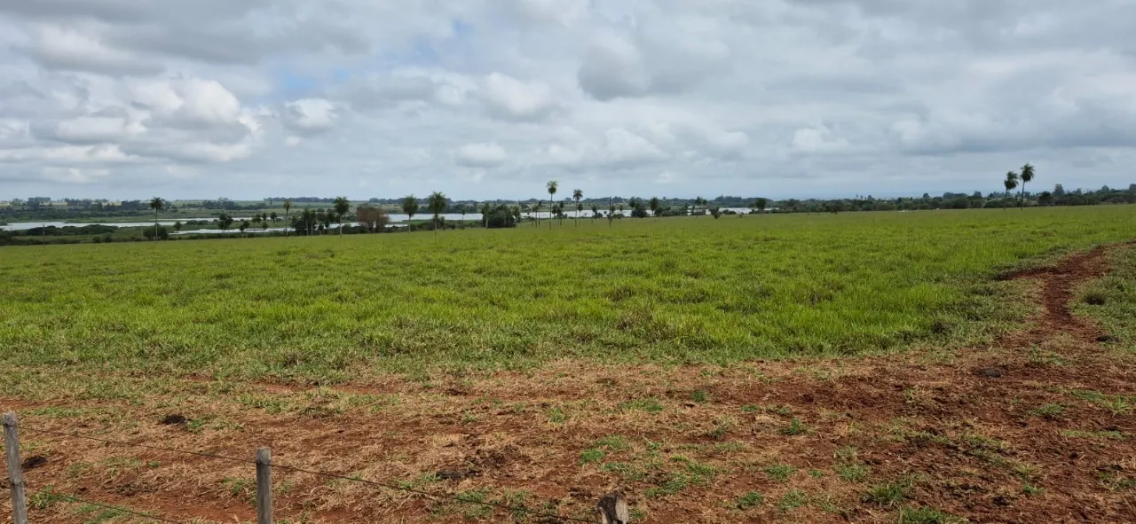 Fazenda à venda de 944 ha em Presidente Prudente, SP, Brasil