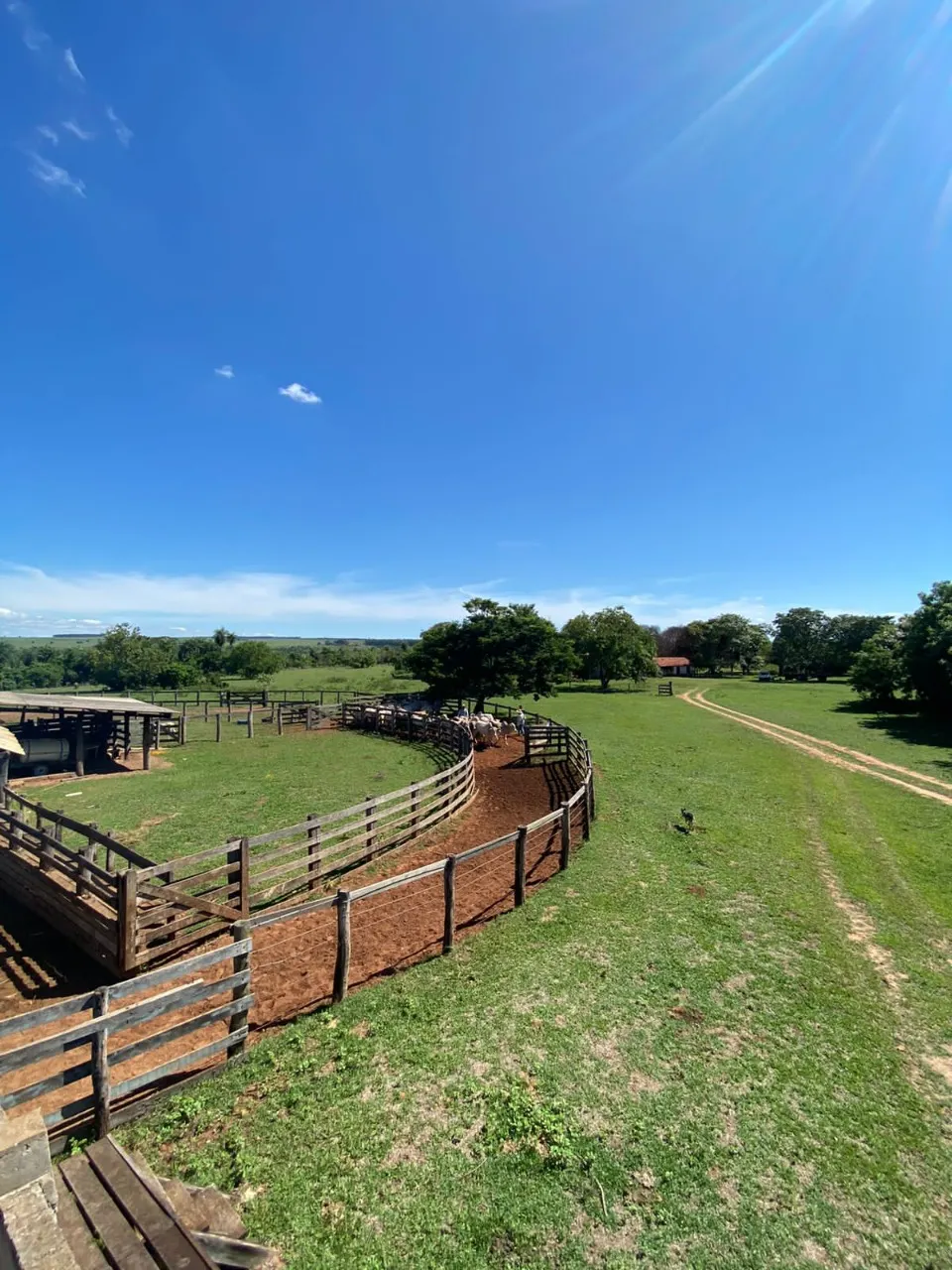 Fazenda à venda de 944 ha em Presidente Prudente, SP, Brasil