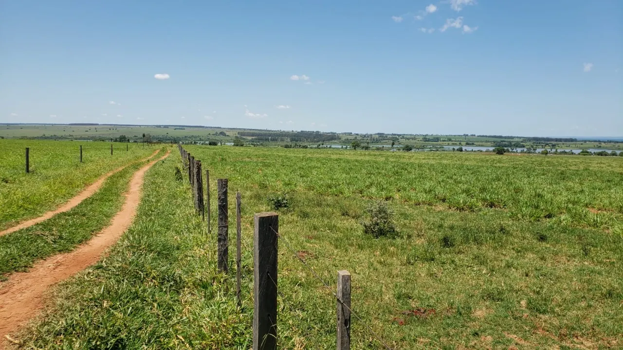 Fazenda à venda de 944 ha em Presidente Prudente, SP, Brasil