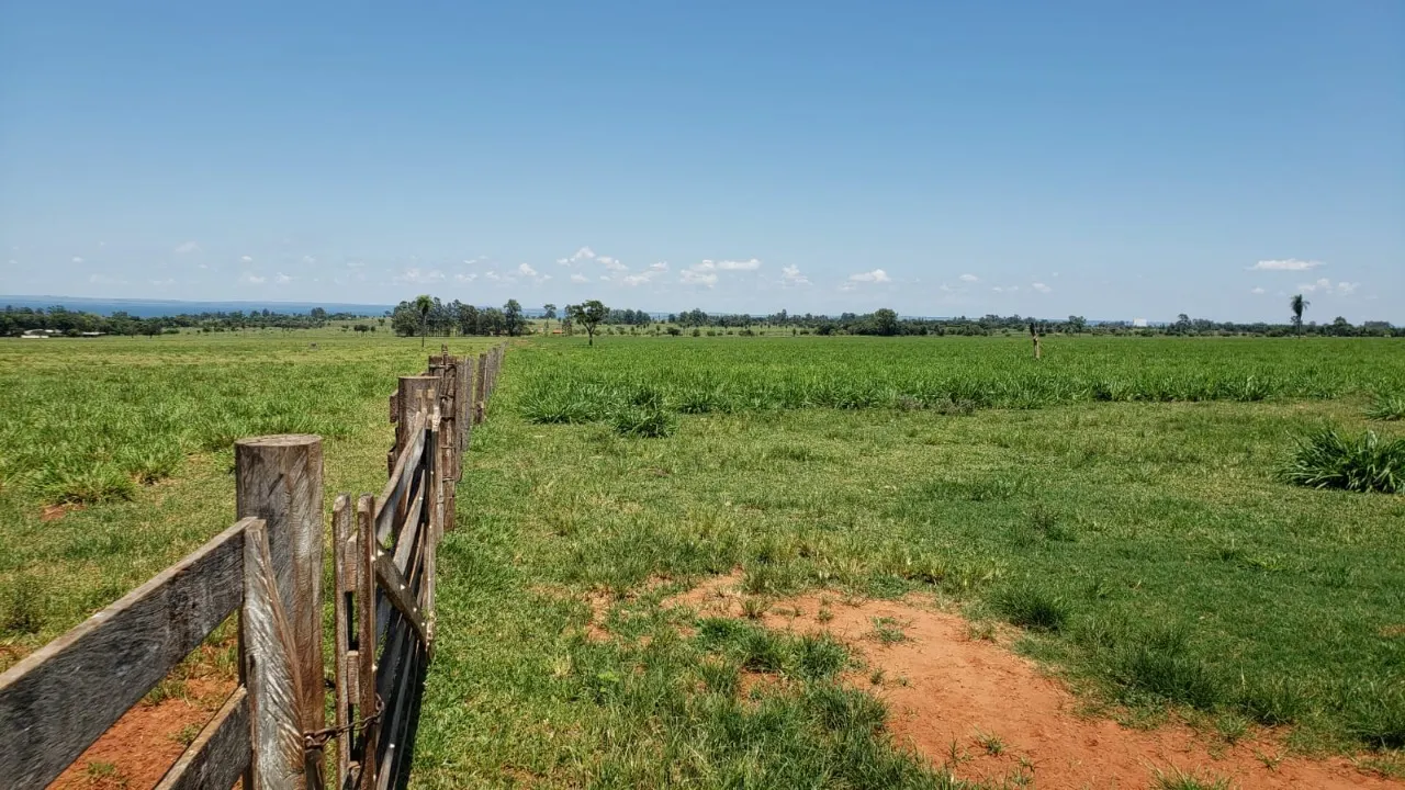 Fazenda à venda de 944 ha em Presidente Prudente, SP, Brasil
