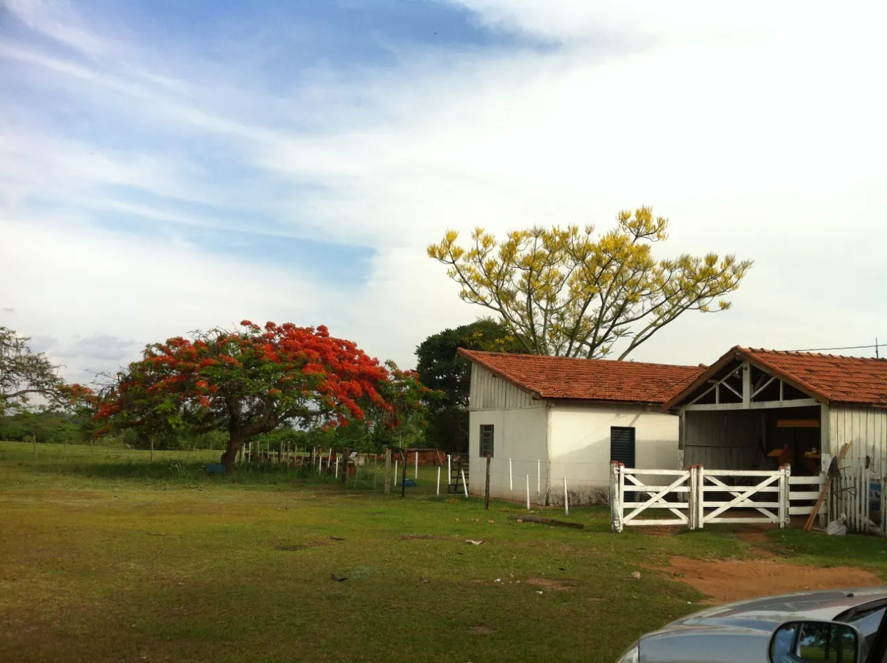 Fazenda à venda de 944 ha em Presidente Prudente, SP, Brasil