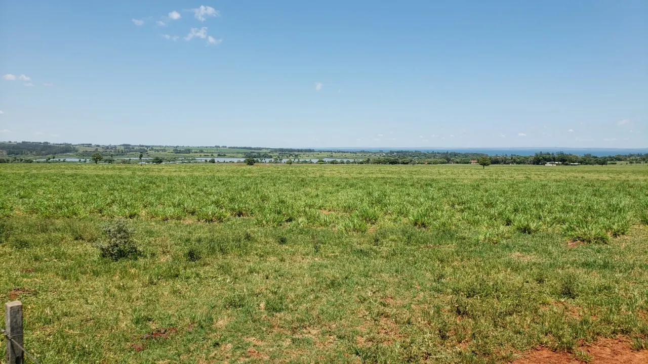 Fazenda à venda de 944 ha em Presidente Prudente, SP, Brasil