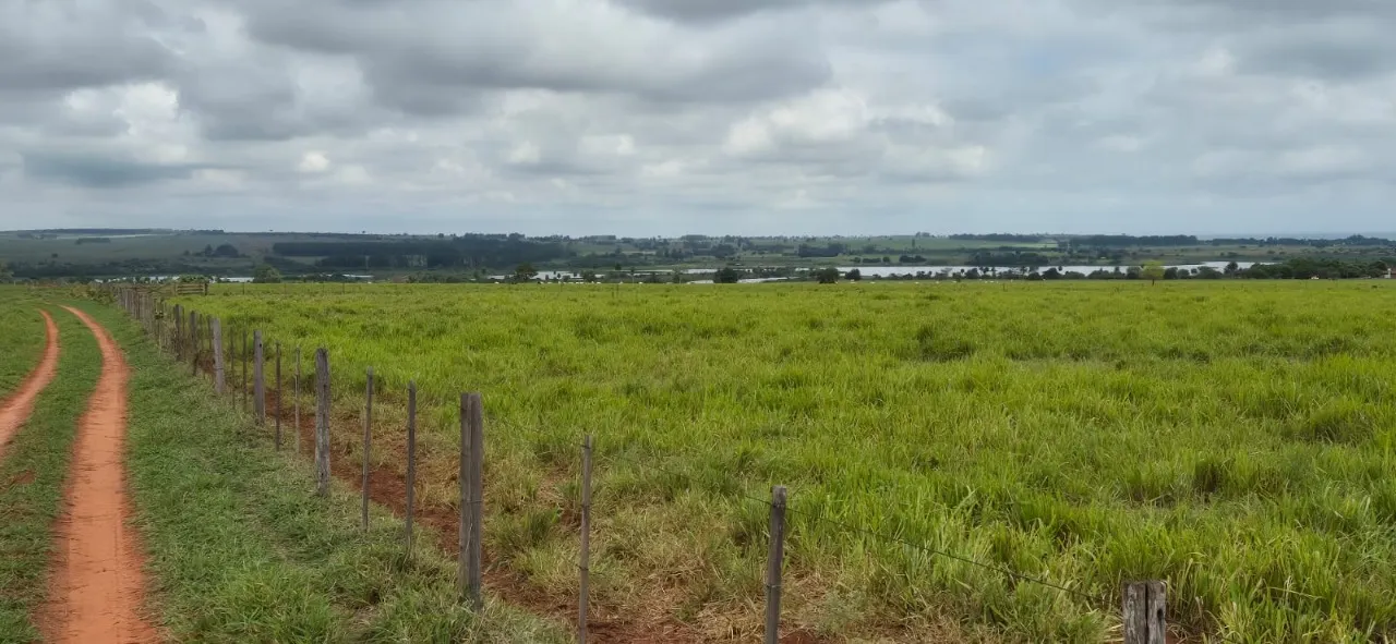 Fazenda à venda de 944 ha em Presidente Prudente, SP, Brasil