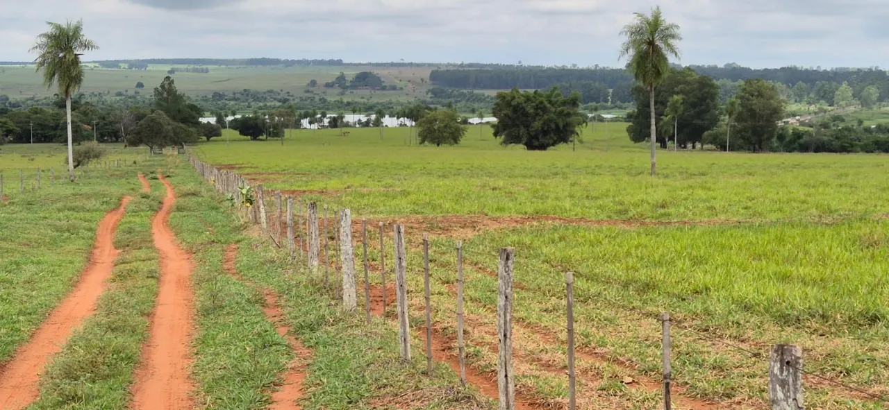 Fazenda à venda de 944 ha em Presidente Prudente, SP, Brasil