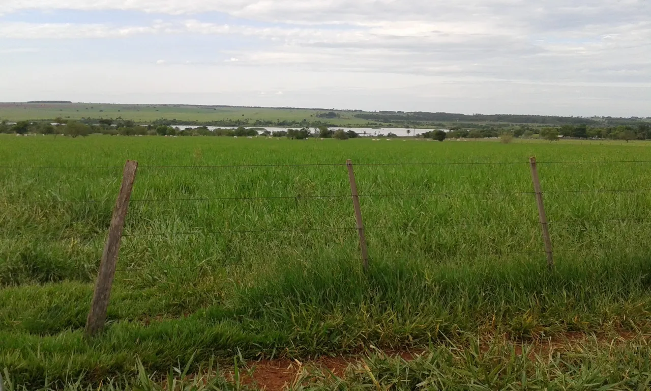 Fazenda à venda de 944 ha em Presidente Prudente, SP, Brasil