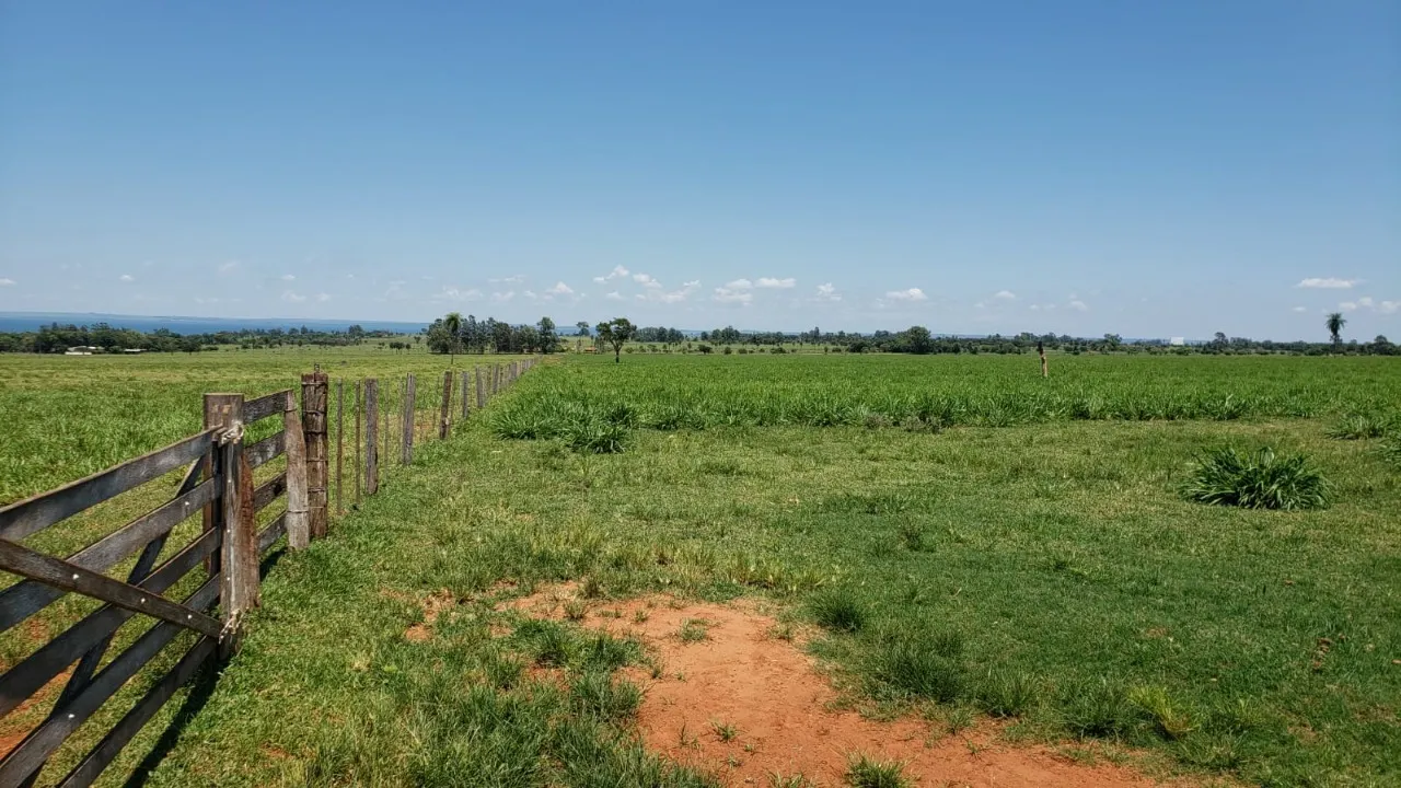 Fazenda à venda de 944 ha em Presidente Prudente, SP, Brasil