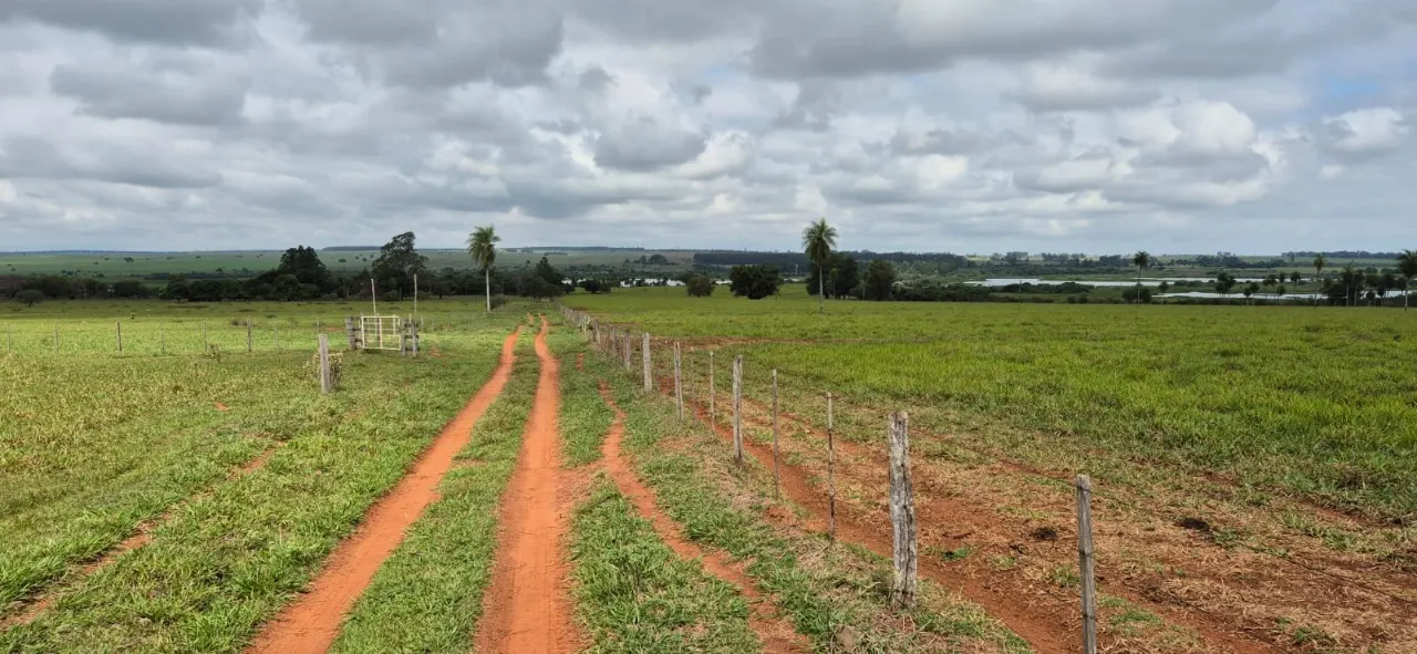 Fazenda à venda de 944 ha em Presidente Prudente, SP, Brasil