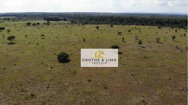 Fazenda à venda de 324 ha em Conceição do Araguaia, PA, Brasil