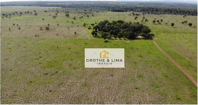 Fazenda à venda de 324 ha em Conceição do Araguaia, PA, Brasil