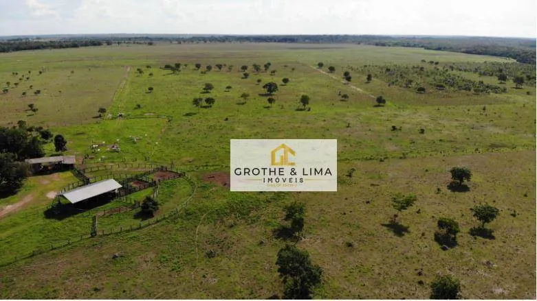 Fazenda à venda de 324 ha em Conceição do Araguaia, PA, Brasil