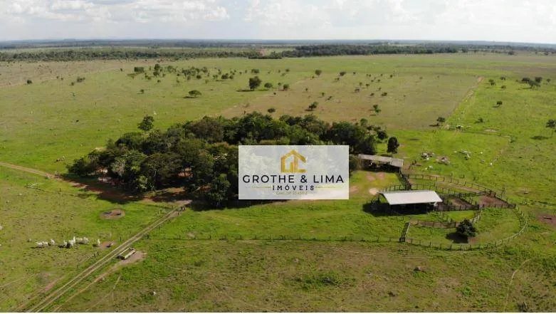 Fazenda à venda de 324 ha em Conceição do Araguaia, PA, Brasil