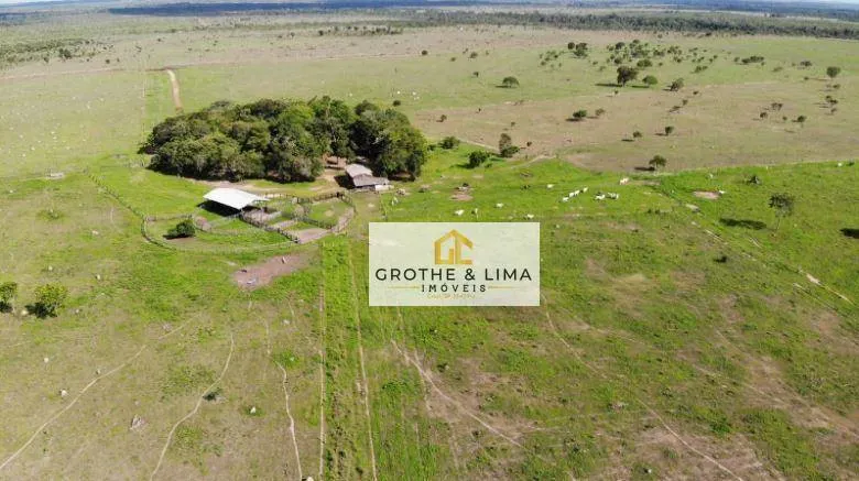 Fazenda à venda de 324 ha em Conceição do Araguaia, PA, Brasil