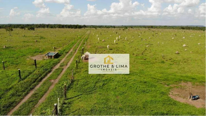 Fazenda à venda de 324 ha em Conceição do Araguaia, PA, Brasil