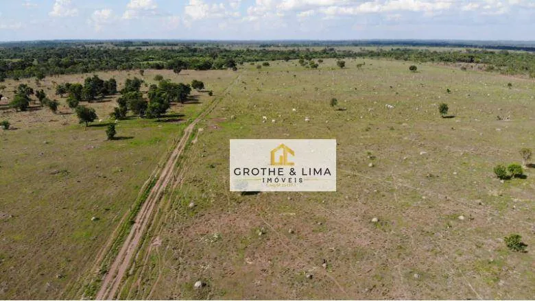 Fazenda à venda de 324 ha em Conceição do Araguaia, PA, Brasil