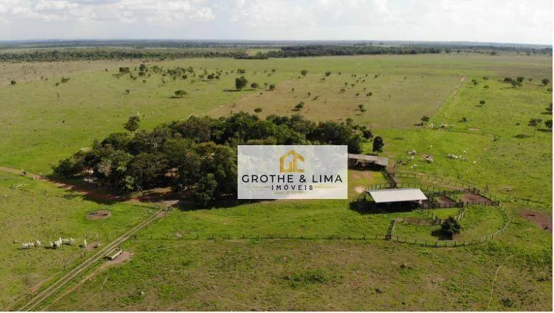 Fazenda à venda de 324 ha em Conceição do Araguaia, PA, Brasil