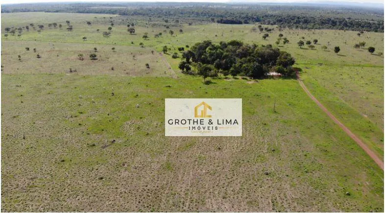 Fazenda à venda de 324 ha em Conceição do Araguaia, PA, Brasil