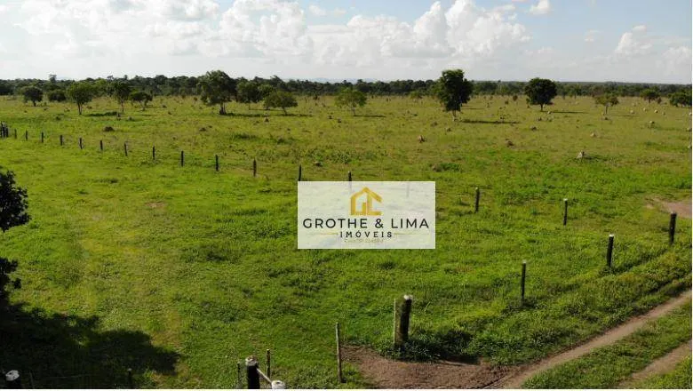 Fazenda à venda de 324 ha em Conceição do Araguaia, PA, Brasil