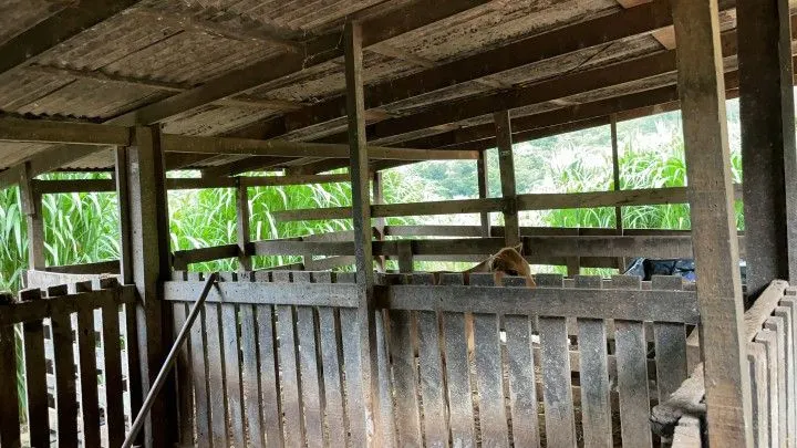 Country home for sale of 4 acres in Taquara, RS, Brazil