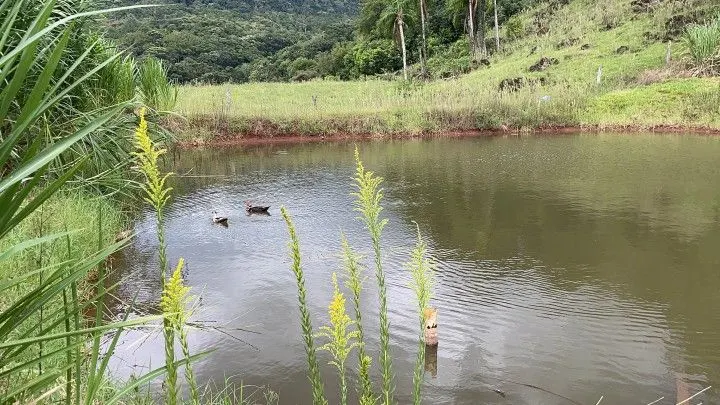Country home for sale of 4 acres in Taquara, RS, Brazil