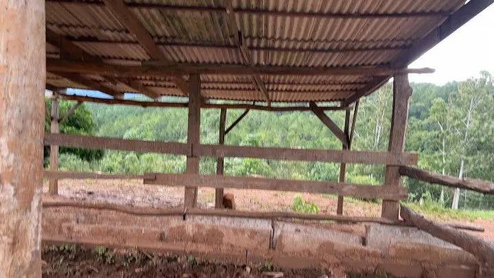 Country home for sale of 4 acres in Taquara, RS, Brazil