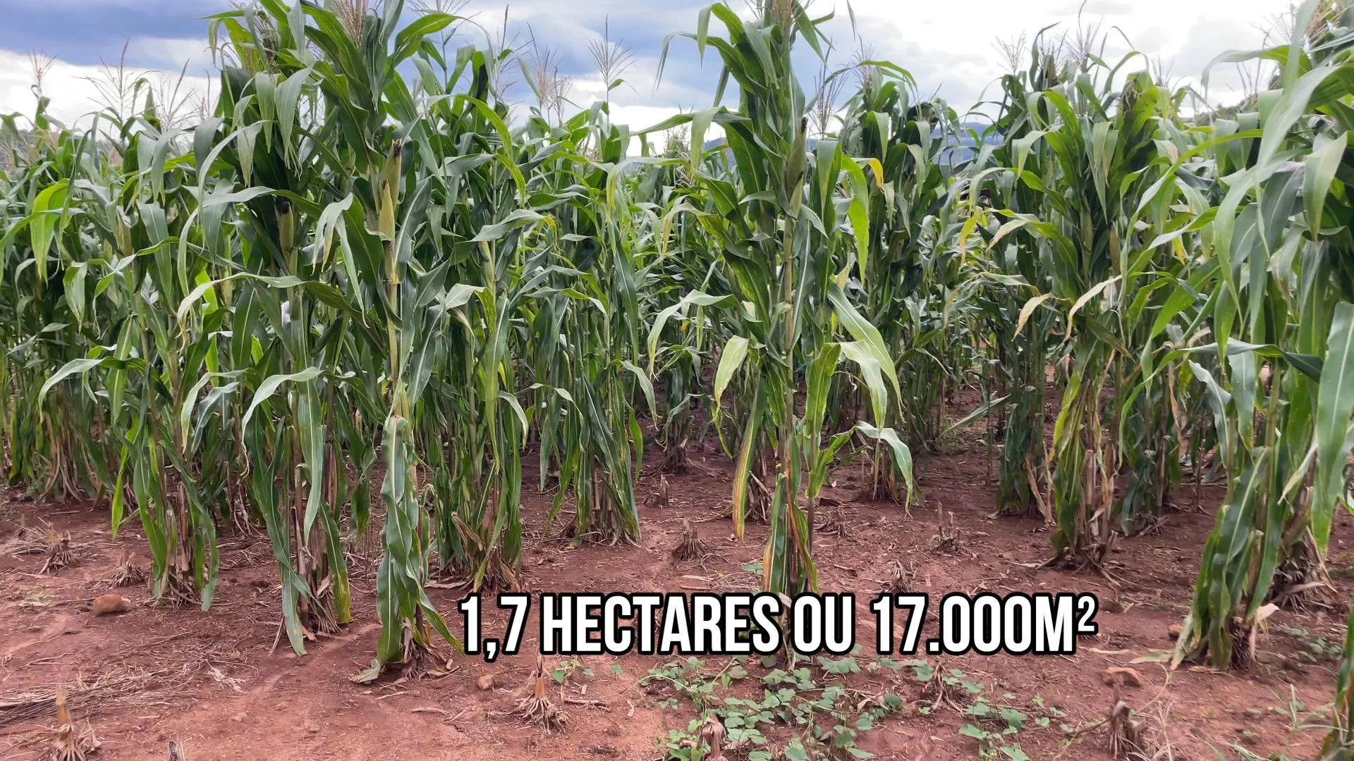 Country home for sale of 4 acres in Taquara, RS, Brazil