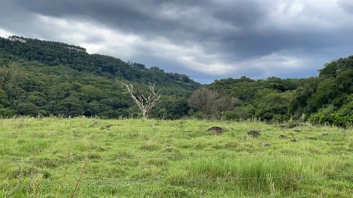 Country home for sale of 4 acres in Taquara, RS, Brazil