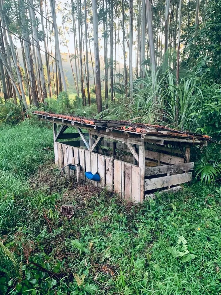 Farm for sale of 3 acres in Luiz Alves, SC, Brazil
