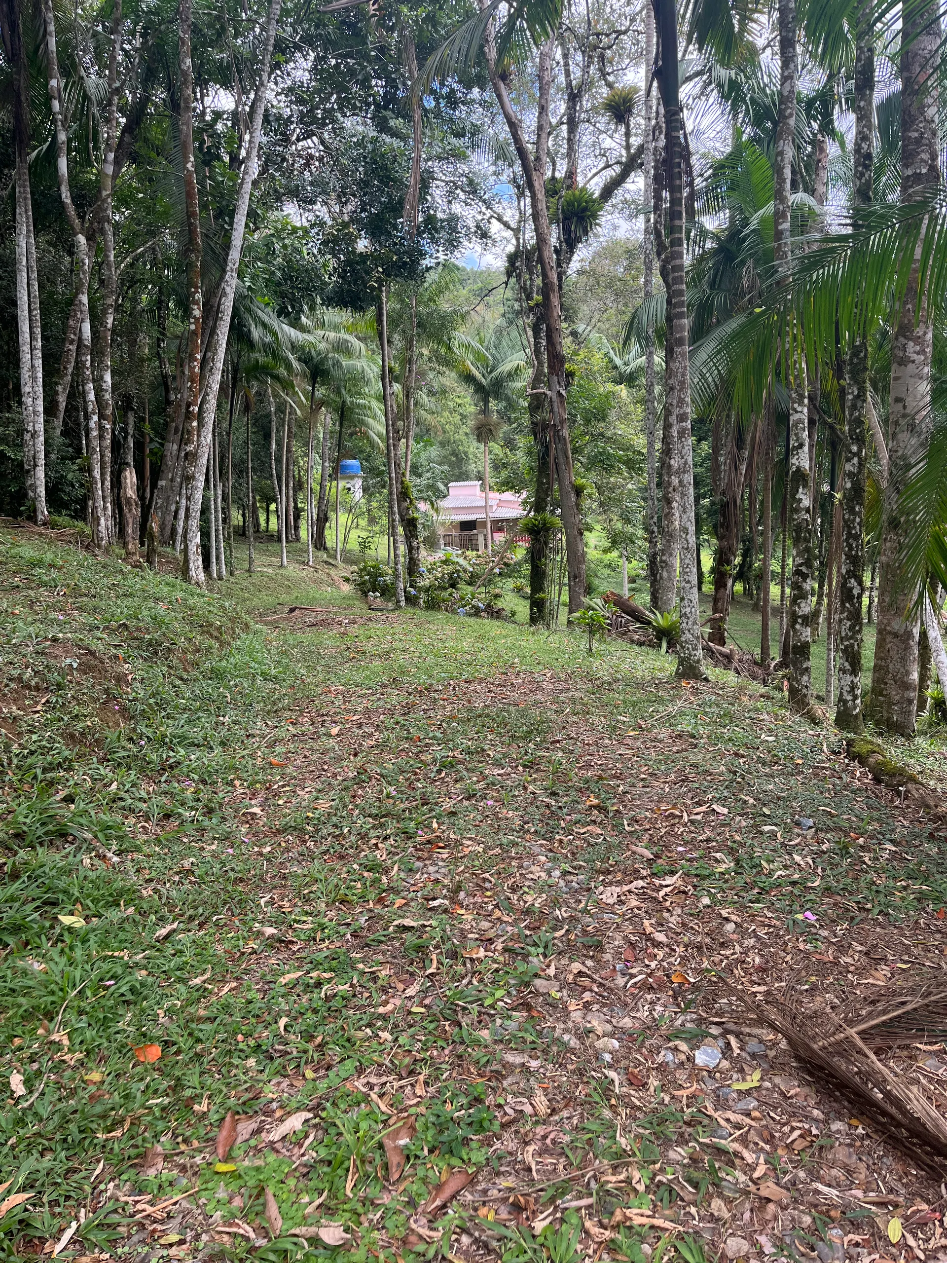 Sítio à venda de 3 ha em Tapiraí, SP, Brasil