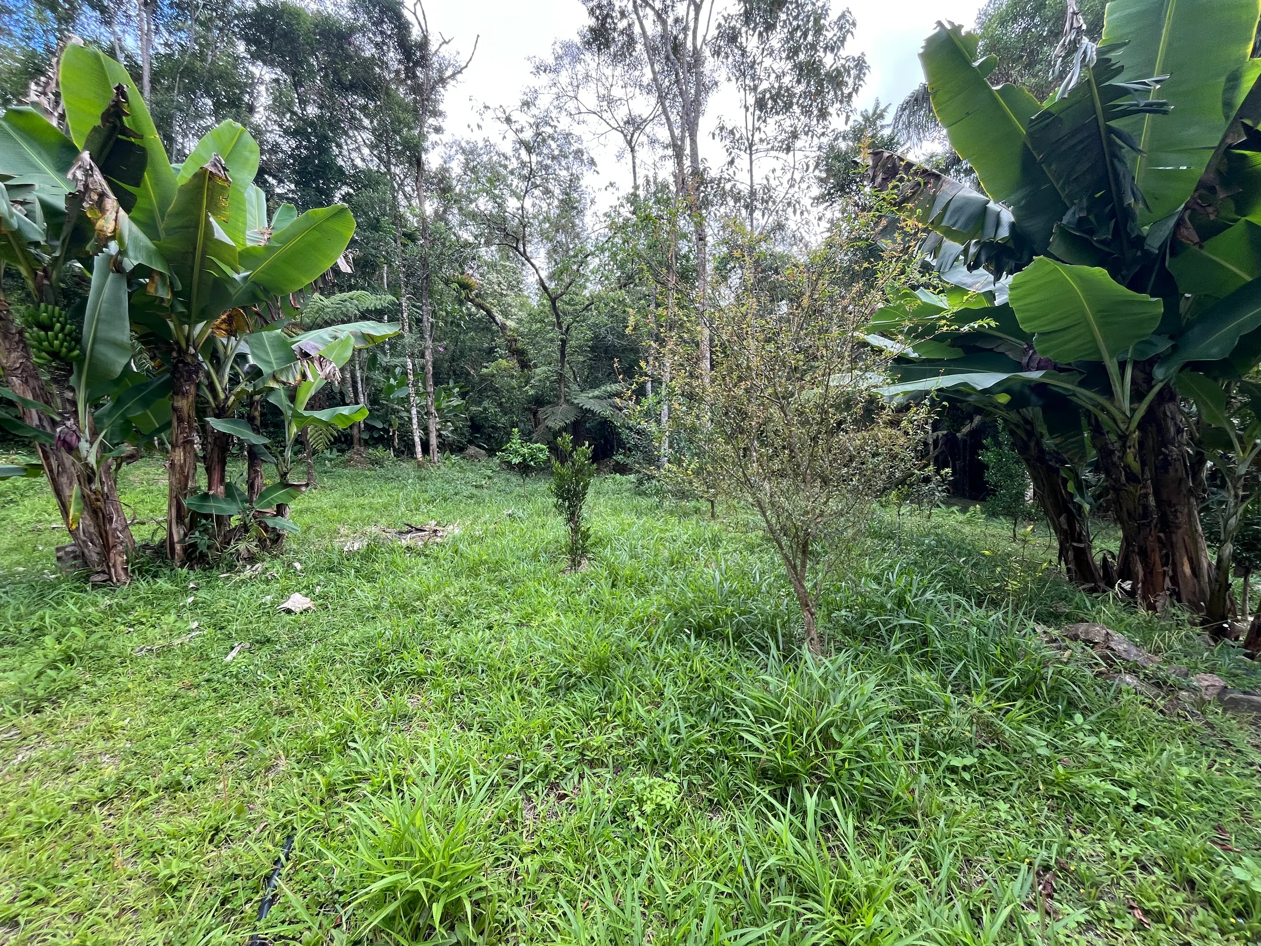 Sítio à venda de 3 ha em Tapiraí, SP, Brasil