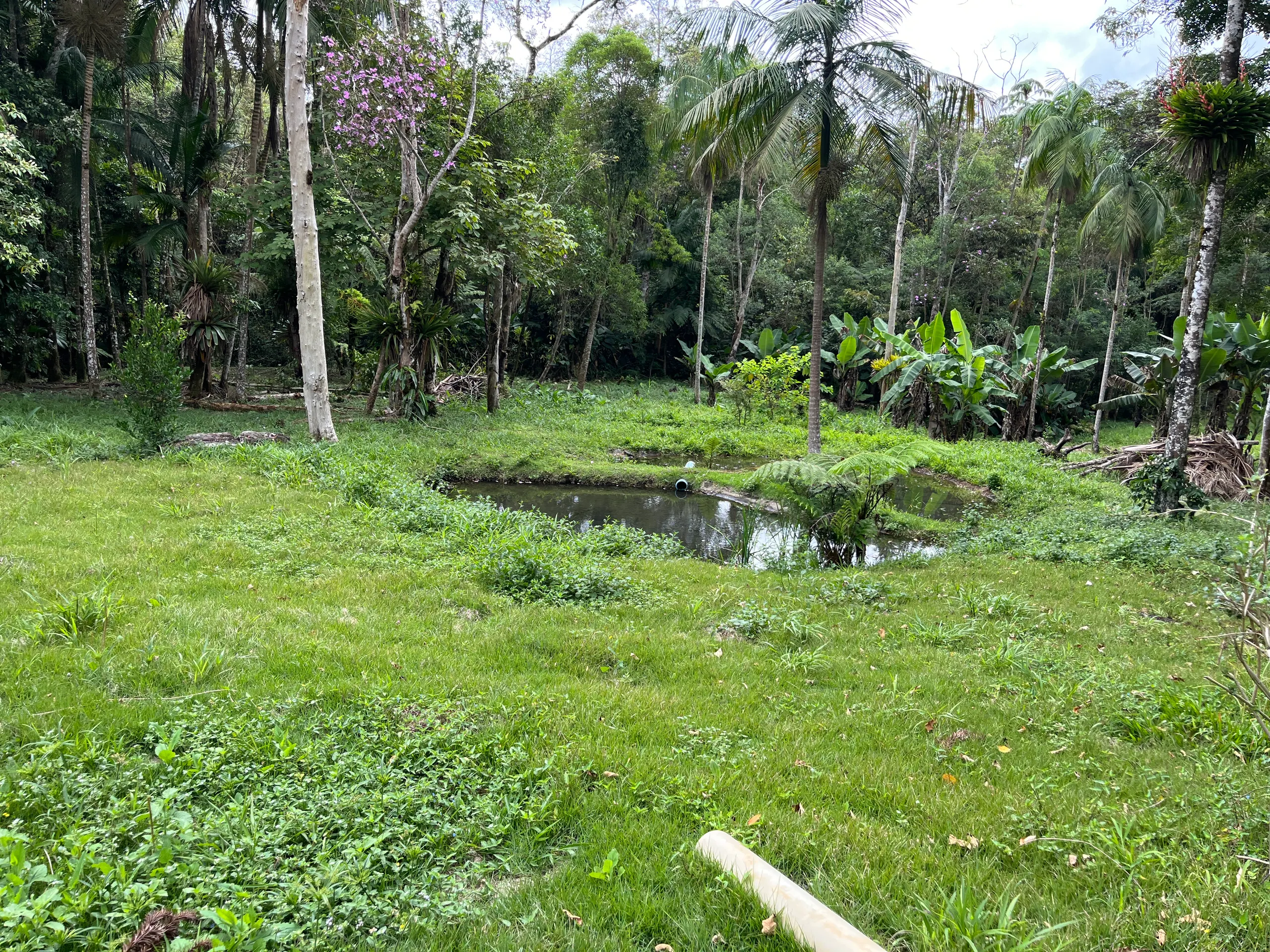 Sítio à venda de 3 ha em Tapiraí, SP, Brasil