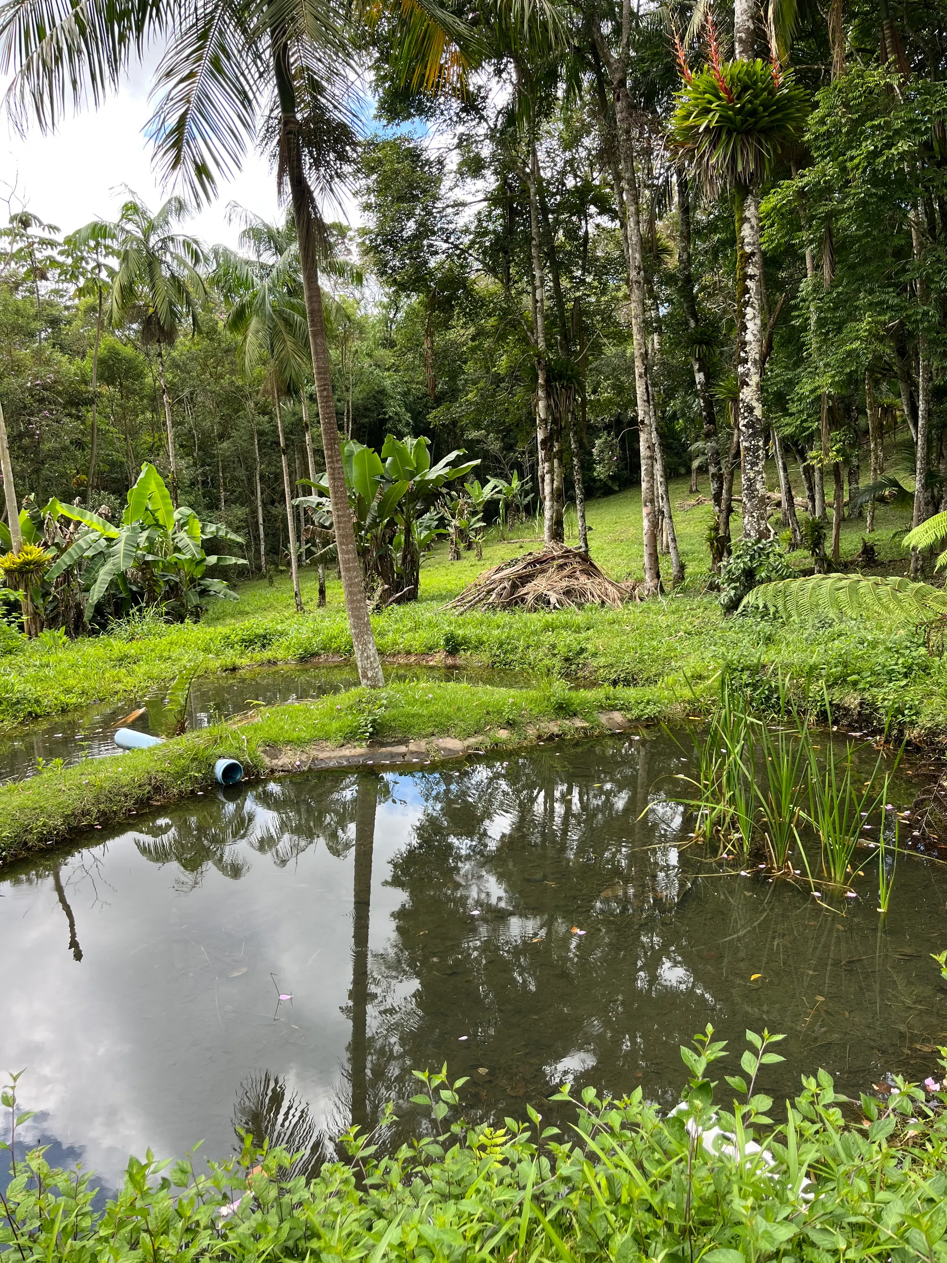 Sítio à venda de 3 ha em Tapiraí, SP, Brasil