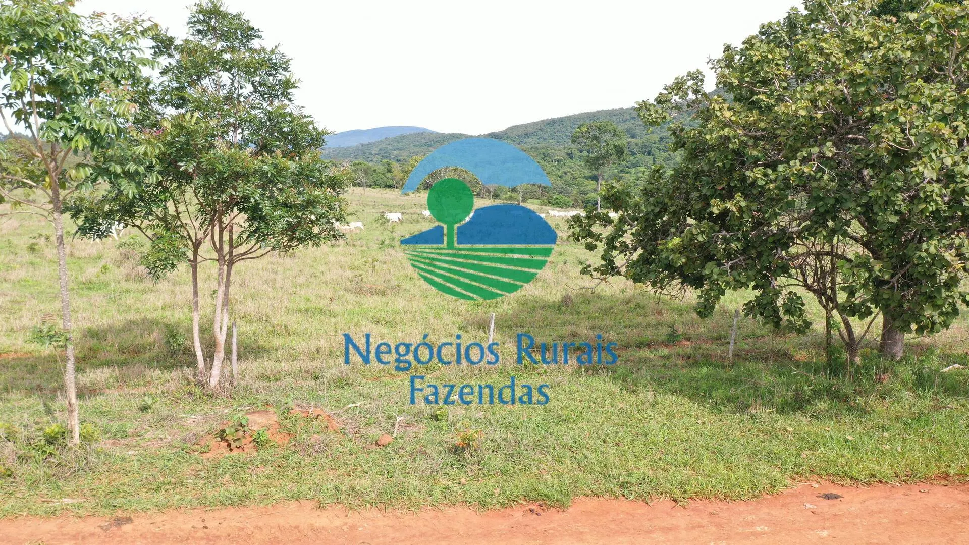 Farm for sale of 430 acres in Pirenópolis, GO, Brazil