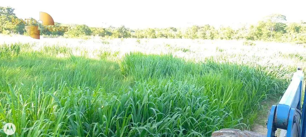 Fazenda à venda de 1.000 ha em Poconé, MT, Brasil
