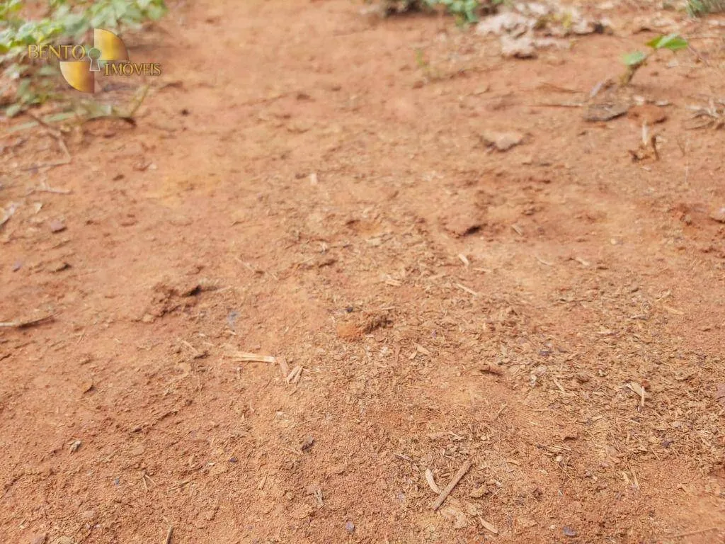 Fazenda à venda de 1.000 ha em Poconé, MT, Brasil