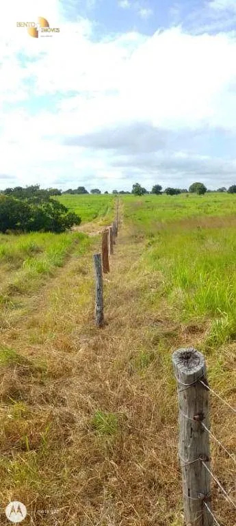 Fazenda à venda de 1.000 ha em Poconé, MT, Brasil