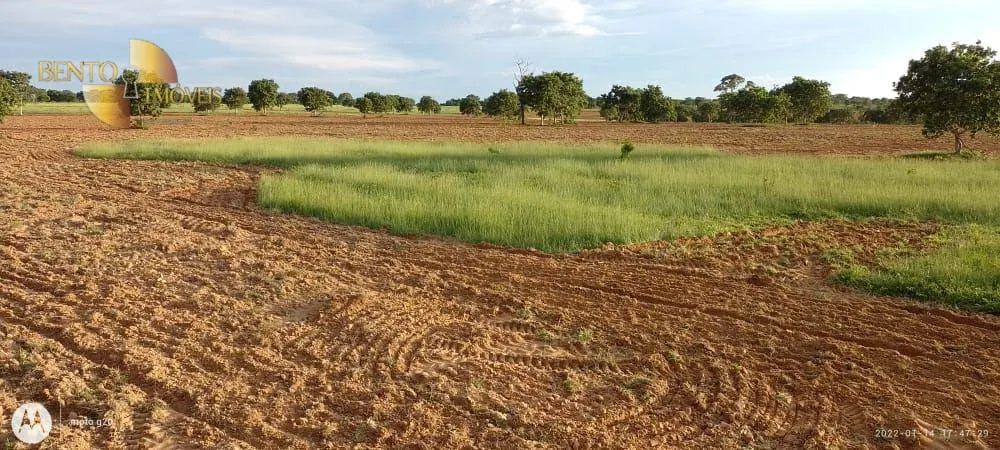 Fazenda à venda de 1.000 ha em Poconé, MT, Brasil