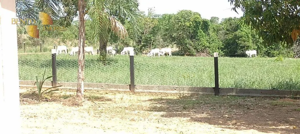Fazenda à venda de 1.000 ha em Poconé, MT, Brasil