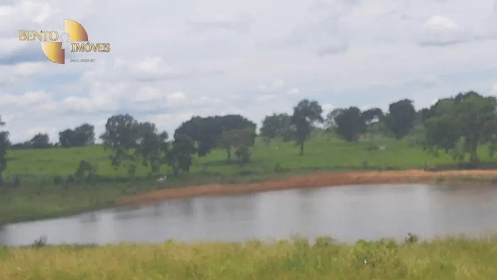 Fazenda à venda de 1.000 ha em Poconé, MT, Brasil