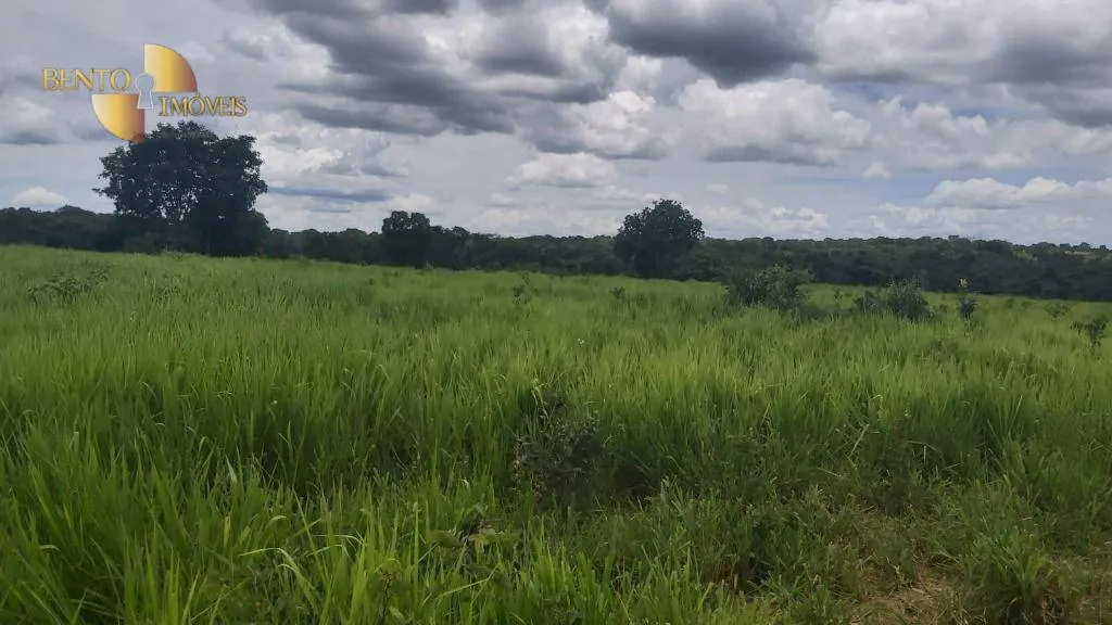 Fazenda à venda de 1.000 ha em Poconé, MT, Brasil
