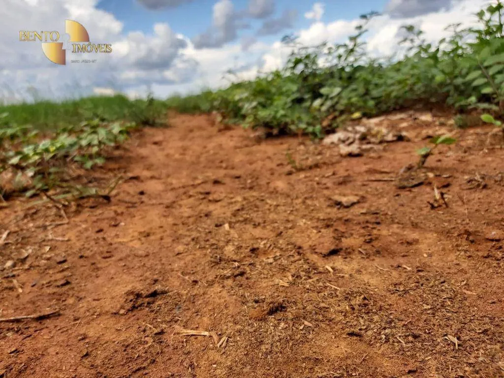 Fazenda à venda de 1.000 ha em Poconé, MT, Brasil