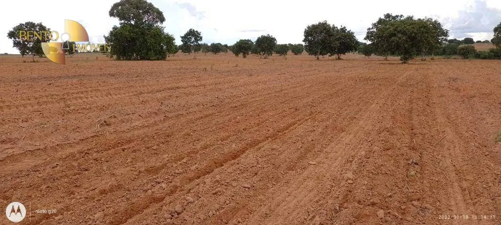 Fazenda à venda de 1.000 ha em Poconé, MT, Brasil