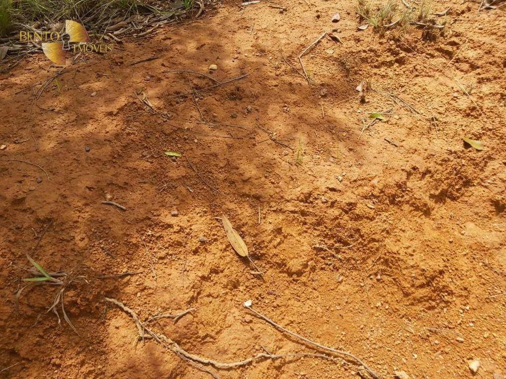 Fazenda à venda de 1.000 ha em Poconé, MT, Brasil