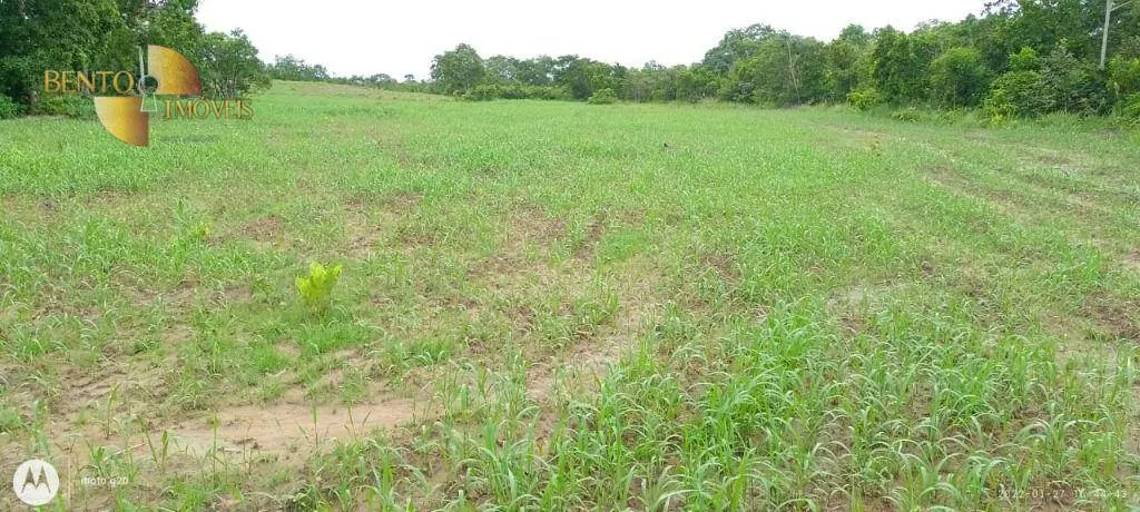 Fazenda à venda de 1.000 ha em Poconé, MT, Brasil